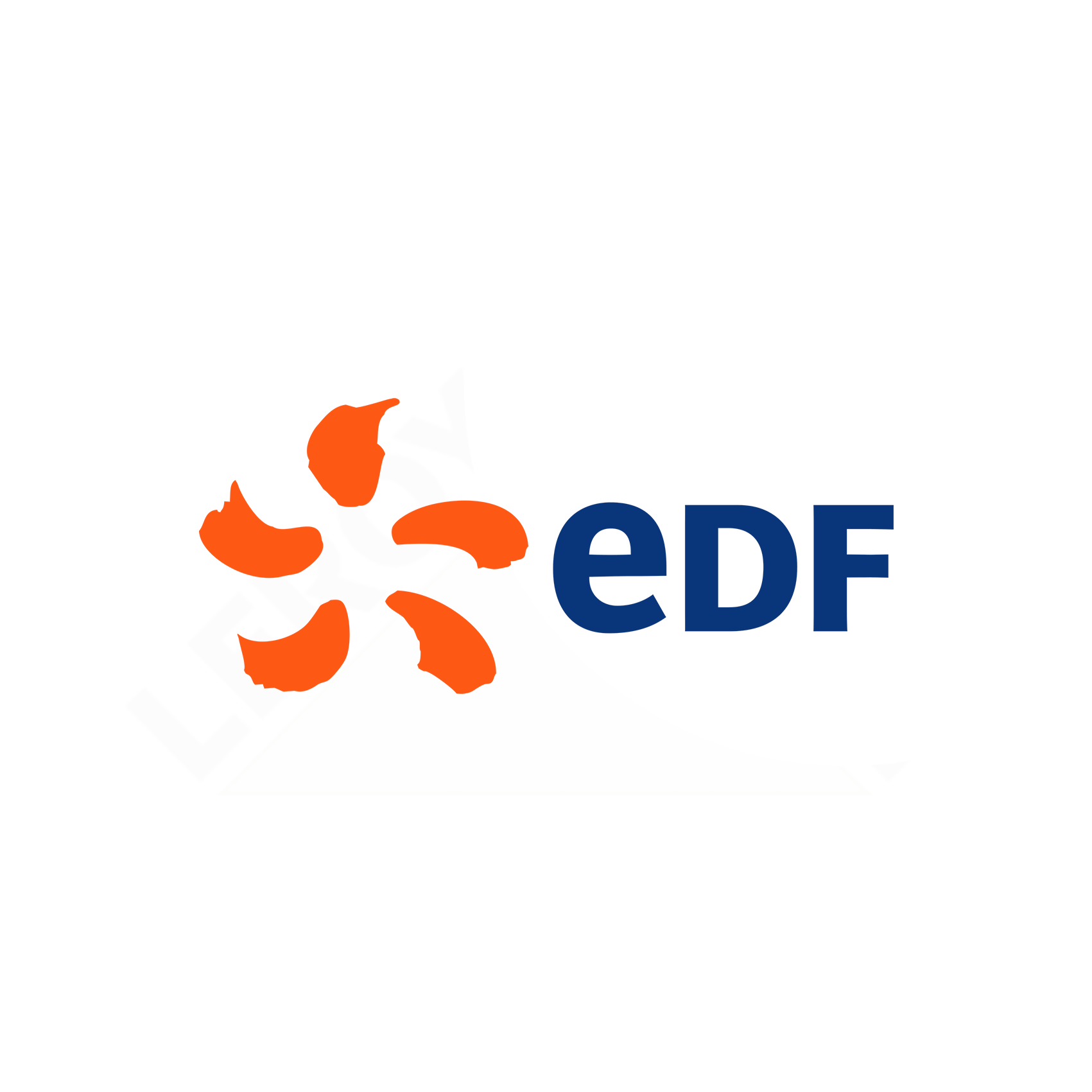 EDF – référence professionnelle de Manon Castello